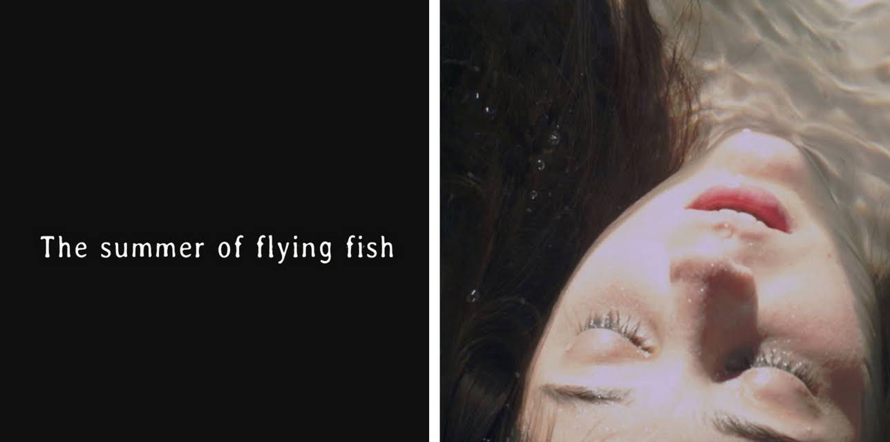The Summer of Flying Fish (2013)
