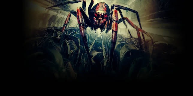 Spiders on a Plane (2024)