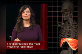 How to Sing: The Anatomy and Physiology of Breath