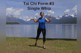 Balance & Strength Exercises for Seniors: 9 Practices with Jane Adams: Tai Chi Form #3 Single Whip