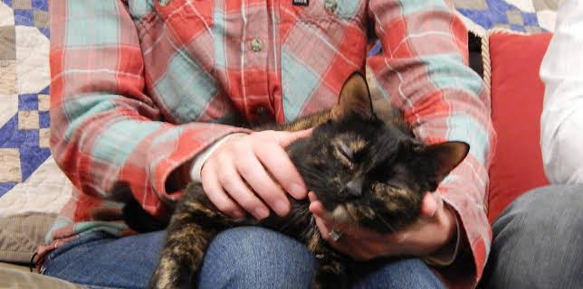 16:00: My Cat From Hell (S5 E11) (S5) | Animal Planet | 11/13 2025