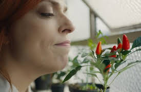 Ingen tittar på: Livet är inte chansartat av en slump