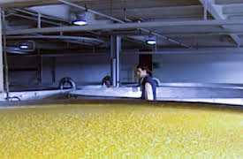 How It's Made: Volume 1: toothpicks, acrylic bathtubs, helicopters and beer