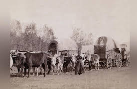 The American West: History, Myth, and Legacy: Winning the West?