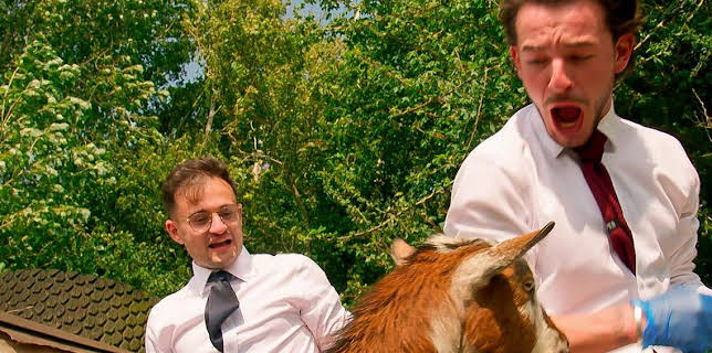 9:00 PM: The Apprentice (S20) | BBC One Northern Ireland | 3/19 2026