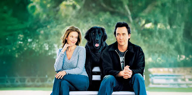 Must Love Dogs (2005)