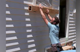 Tiny Luxury, Season 1: Tiny Home for Engaged Couple