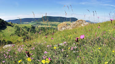 20:15: Wildes Deutschland: Die Schwäbische Alb | SWR Fernsehen BW | 4/19 2026
