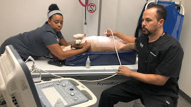 13:05: The Vet Life (S3 E3) (S3) | Animal Planet | 4/10 2026