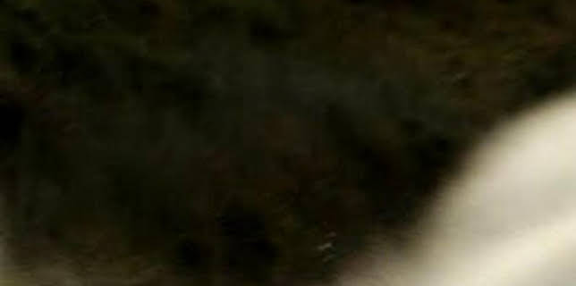 15:32: Tour de Corse historique 2022 | TV5MONDE | 1/10 2026