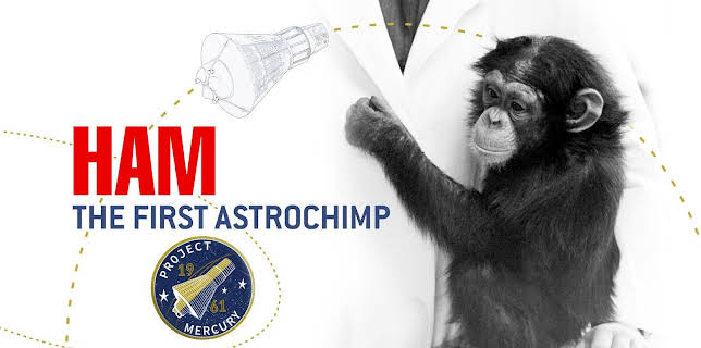 Ham The First Astrochimp (2026)
