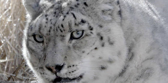 07:40: 360° Reportage | Arte | 11/29 2025