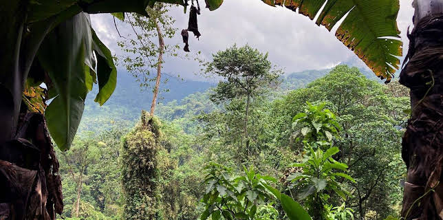 15:15: Afrikas Berge | SR Fernsehen | 1/1 2026