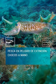12:15: Pesca en peligro de extinción: chocos a mano | Caza y Pesca | 7/14 2026