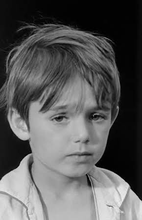 Christophe Bourseiller as 