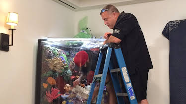 21:00: Tanked (S5 E14) (S5) | Animal Planet | 4/18 2026
