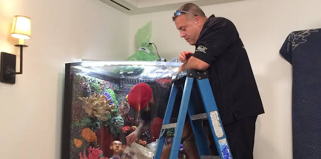 09:25: Akvariedesignerne (S5 E14) (S5) | Animal Planet | 3/17 2026