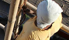 ¿Cómo lo hacen?: Episodio 11