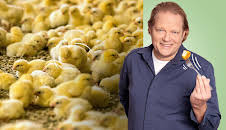 Der Vorkoster