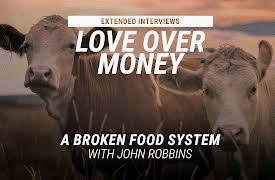 Love Over Money Extended Interviews: A Broken Food System