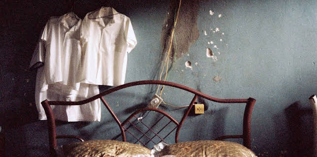 00:30: Ernesto's Island | Arte | 1/31 2026