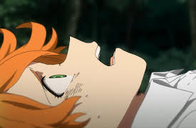 The Promised Neverland: Season 1: 021145