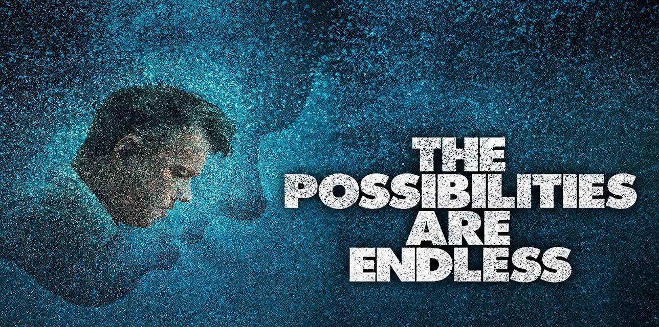 The Possibilities Are Endless (2014)