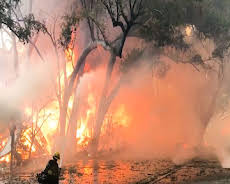 World's Deadliest Weather: Caught on Camera