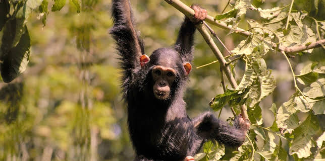 11:50: Abenteuer Wildnis | BR Fernsehen | 1/15 2026