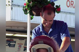 Impractical Jokers Season 1: Panty Raid