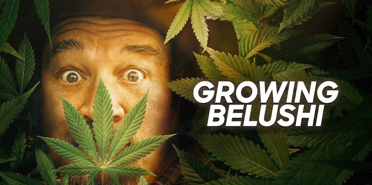 Growing Belushi