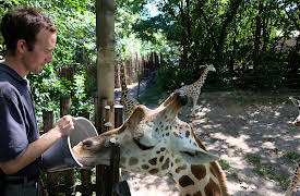 The Bronx Zoo: Episode 8