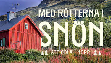 18:00: Med rötterna i snön (meänkieli) | SVT2 | 4/3 2026