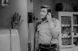 Andy Griffith Show Season 1: Andy And Opie;Housekeepers