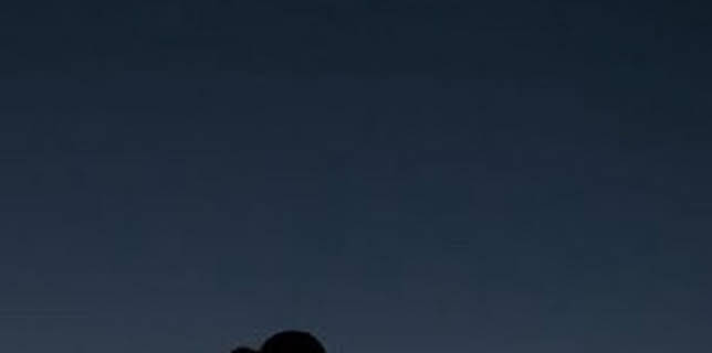 22:05: Nits Sense ficció: Mama | TV3 Cat | 12/9 2025