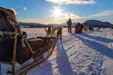 08:26: Abenteuer Lappland - Die Husky-Tour des Lebens (1/3) | 3SAT | 6/7 2026