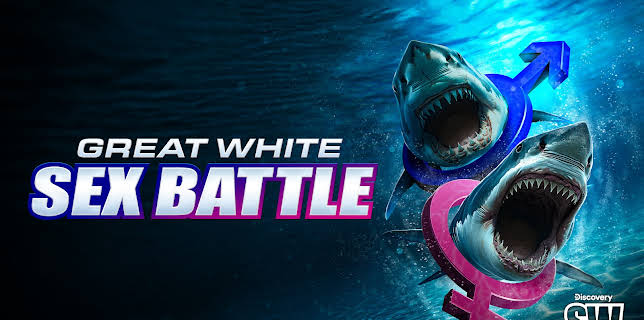 Great White Sex Battle (2025)