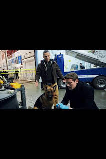 11:01: Hudson y Rex (T1): Ep.15 Sobre hielo | AXN | 4/7 2026