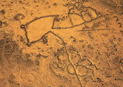 The Mystery of the Desert Kites