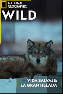 00:30: Vida salvaje: la gran helada | Nat Geo Wild | 2/27 2026