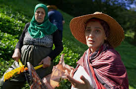 Hot Roads: The World's Most Dangerous Roads: Turkey's Notorious D915