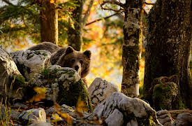 The Alps, Season 1: Winter's Fortress