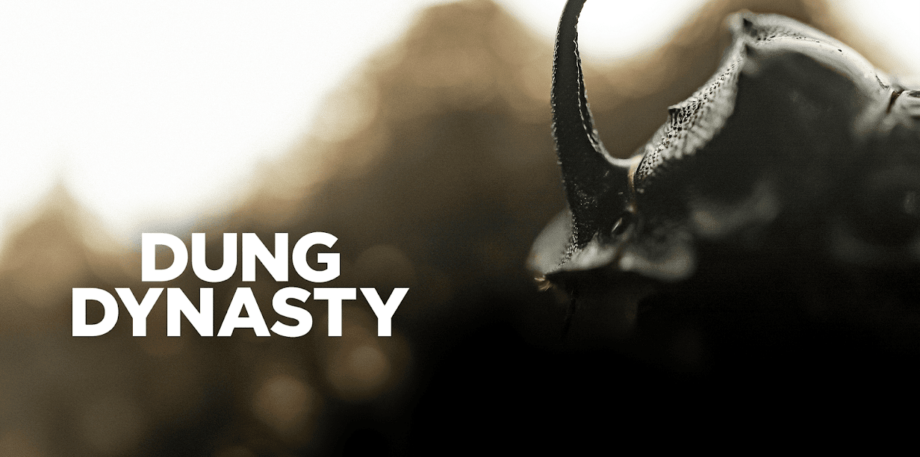 Dung Dynasty (2020)