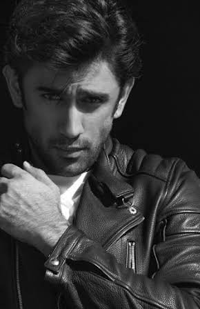 Amit Sadh as 