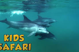 Kids Safari: African Sea Life