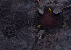 Mystery At Blind Frog Ranch