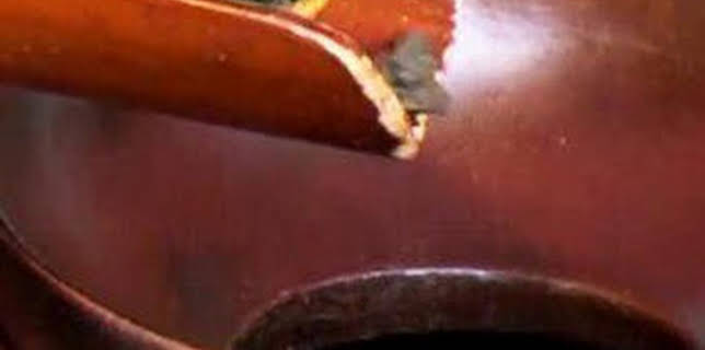 08:14: Así se hace (MAX): Té, florones para tejados, flores artificiales y ruedas de aleación | Discovery Max | 3/23 2026