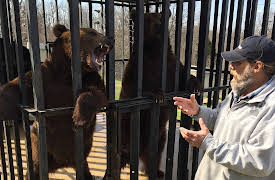 Project Grizzly: Episode 1