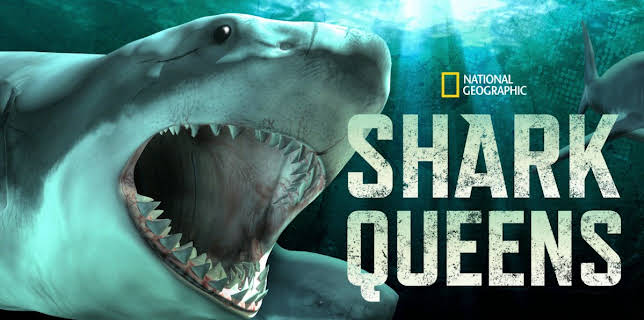 Shark Queens (2022)
