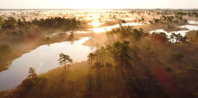 07:50: planet schule: Paradiese aus Menschenhand - Die Rückkehr der Moore | WDR Fernsehen | 1/19 2026